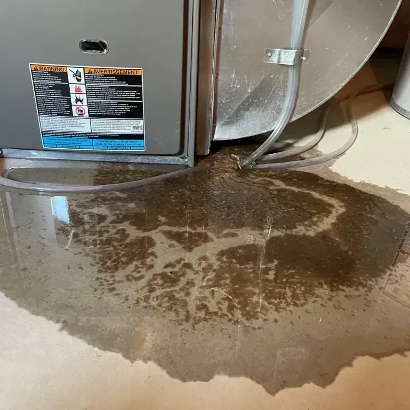 Appliance Leak Cleanup in Somerset, KY